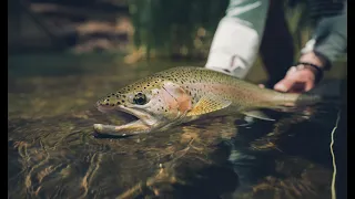 lesotho trout fishing - overview of our community project in Lesotho