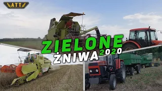 ZIELONE ŻNIWA 2020! /Agro Team Terebiń/ (Class Mercator 50, Dominator 56, John Deere 975, 3x Zetor)
