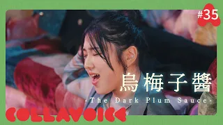 #35 烏梅子醬 -The Dark Plum Sauce- | 李榮浩(Li Ronghao) | COVER | COLLAVOICE