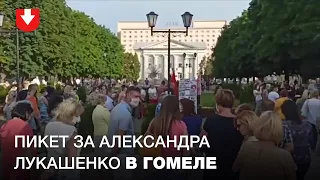 Пикет за Александра Лукашенко в Гомеле