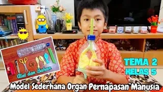 CARA MEMBUAT MODEL SEDERHANA ORGAN PERNAPASAN MANUSIA | PRAKTIKUM IPA TEMA 2 KELAS 5