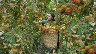 Harvest forest fruits, bring them to the market to sell, survival alone