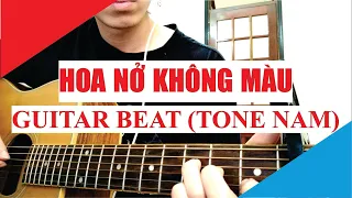 [Guitar Acoustic Beat] Hoa Nở Không Màu - Hoài Lâm | Karaoke Lyric