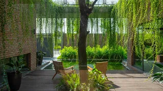 The Green Curtain House In Vietnam