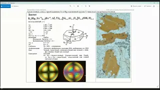 Петрография 10. Слоистые силикаты.