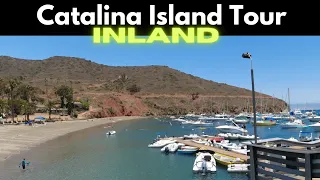 Catalina Island - Inland Tour and Return to the Mainland