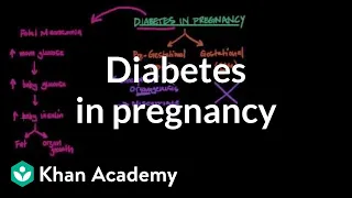 Diabetes in pregnancy | Reproductive system physiology | NCLEX-RN | Khan Academy