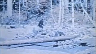 Sasquatch: The Legend of Bigfoot Trailer 1977
