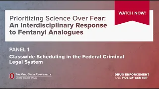 Fentanyl Analogues Panel 1: Classwide Scheduling in the Federal Criminal Legal System