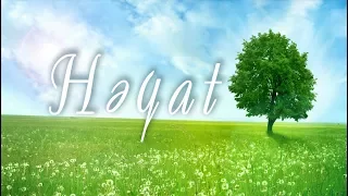 Həyat (12.10.2017)