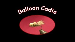 Fly Tying Session: Balloon Caddis