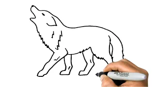 How to DRAW a WOLF Easy Step by Step