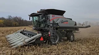 Gleaner S97 Centennial Edition Ohio Corn Harvest!