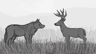 How - RDR2 animatic