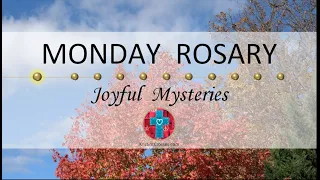 Monday Rosary • Joyful Mysteries of the Rosary 💙 November 13, 2023 VIRTUAL ROSARY - MEDITATION