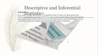 Understanding Branches of Statistics