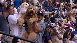 DOGGY DANCE PARTY 🐶 The Dodgers' awesome activity in-between innings | ESPN MLB
