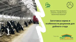 Заготовка корма и особенности рационов для дойного стада. Умная ферма: прибыльный молочный бизнес