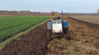 Осіння, оранка приорюю гній.