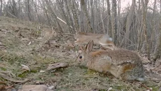 Various visitors want to share the granola