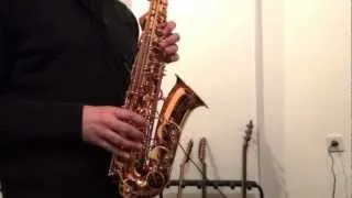 Steinbach Alt Saxophone - Napredna kategorija