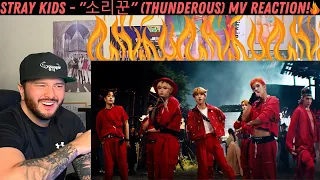 STRAY KIDS - "소리꾼" (THUNDEROUS) MV Reaction!