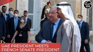 UAE President meets President of Senate of French Republic