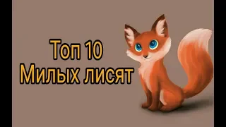 Топ 10 милых лис.💕💕💕