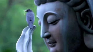 Great Compassion Mantra / Ani Choying Drolma
