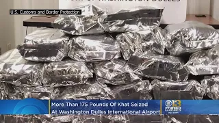 Customs And Border Protection Officers Seize More Than 175 Pounds Of Khat At Dulles