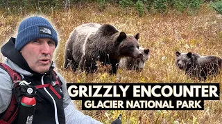 My Unexpected Encounter with Three Grizzly Bears at Glacier National Park