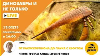 Занятие "От ракоскорпиона до паука с хвостом" кружка "Динозавры и не только" с Ярославом Поповым