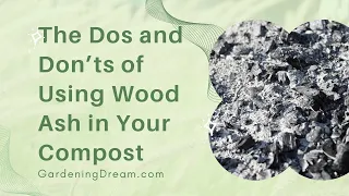 The Dos and Don’ts of Using Wood Ash in Your Compost