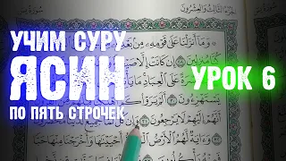 Урок 6 - Учим "ЯСИН" (по пять строчек) / 36-я сура Корана