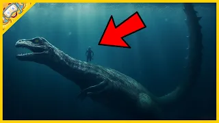 20 De Creaturi Marine Misterioase Surprinse Pe Cameră