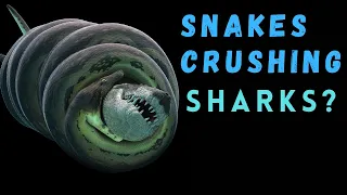 10 Largest Extinct Snakes That Dwarfs Modern Snakes