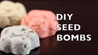 How To Make Seed Bombs | Seed Balls | Craft Idea DIY