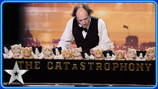 Henry and Richard's CATastrophic feline performance | Auditions | BGT 2024