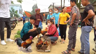 Forest life Selling Wild Chicken, Buy Ducklings to Raise, Farm Life