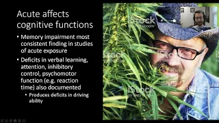 PSY305: Cannabinoids: Acute Effects