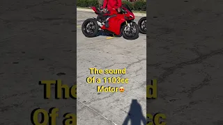 Ducati Panigale V4s Exhaust Sound || Austin Racing