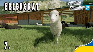 Farming Simulator 22 | Erlengrat | Вівці, Мука | 7 #ukraine