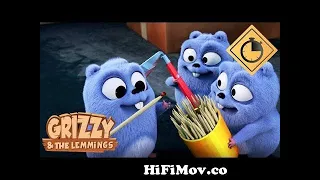 20 minutes de Grizzy les Lemmings Cartoon compilation 54 Episodes complets 230, 231, 232