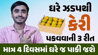 ઘરે ઝડપથી કેરી પકવવાની 3 રીત માત્ર ચાર દિવસમાં ઘરે જ પાકી જશે -All information about indian mangoes