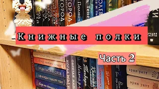 Книжные полки | ЧАСТЬ 2 📽️