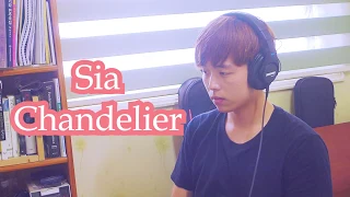 Sia - Chandelier (남자버전) | Cover by Daul