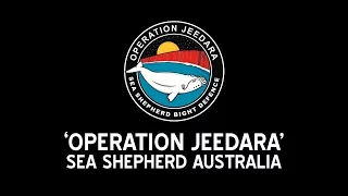 Operation Jeedara: Campaign Prelude