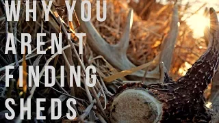 Why You Aren't Finding Sheds