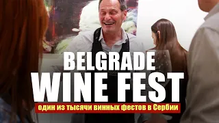 Винный фестиваль в Белграде Сербия / Wine fest Belgrade Serbia #виноделие #сербия #виносербии