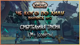 гайд СМЕРТЕЛЬНАЯ ТРИЗНА WOW shadowlands выпуск #2 "ЧЕ КАВО по хилу" м+